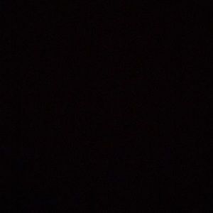 Meet your Posher, Daria